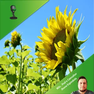 Imagem do curso Aprenda fitormônios promotores do crescimento: Auxinas, Citocininas e Giberelinas (Certificado de 10 horas)