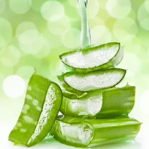 Imagen de portada para Ebook Cosmética natural con Aloe Vera