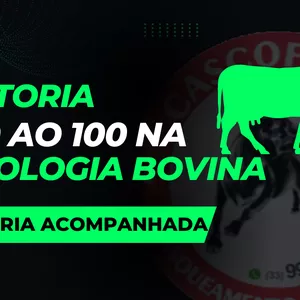 Imagem de capa para o Curso online DO 0 AO 100 na Podologia Bovina Avançada- MÉTODO APIMA