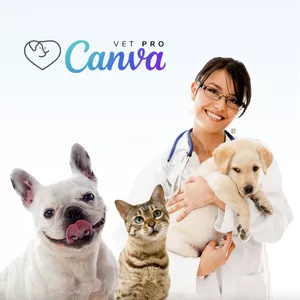 Imagem de capa para o Curso online Vet Canva Básico