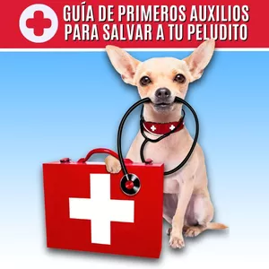 Imagen de portada para Ebook GUÍA DE PRIMEROS AUXILIOS PARA SALVAR A TU PELUDITO
