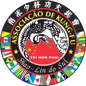 Imagem de capa para o Curso online Kung Fu Básico - Shao - Lin do Sul 