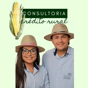 Imagem de capa para o Curso online Consultoria personalizada em crédito rural