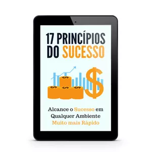 Imagem de capa para o Ebook 17 Princípios do Sucesso
