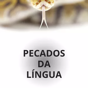 Imagem de capa para o Ebook PECADOS DA LÍNGUA