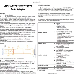 Imagen de portada para Curso online SEMANA 1 