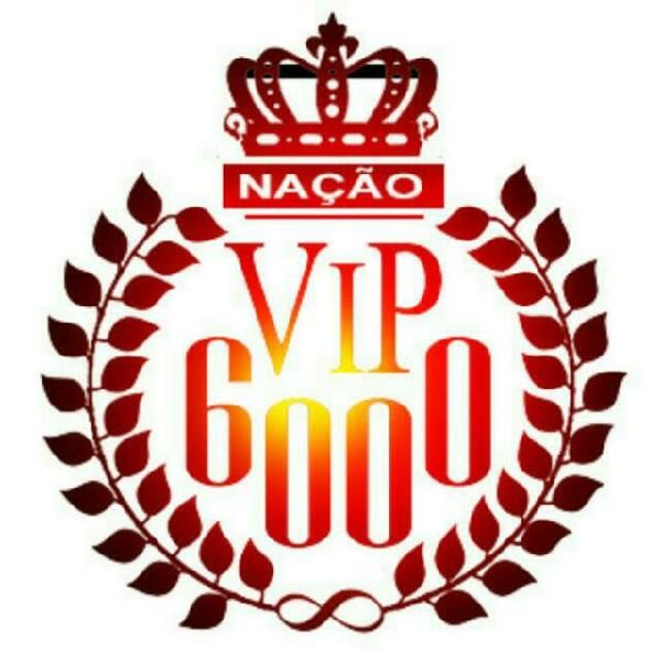 Imagem do curso Não seja VIP 600, seja VIP 6000