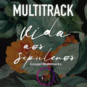 Imagem de capa para o Curso online Vida aos Sepulcros - Multitrack