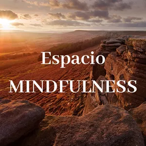 Imagem principal do produto Membresía Premium Espacio Mindfulness