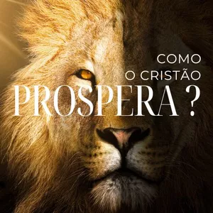Imagem do curso Como o cristão prospera ?