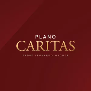 Imagem de capa para o Curso online Plano Caritas