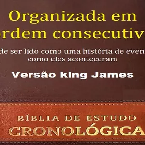 Imagem de capa para o Ebook Organizada em ordem consecutiva. Pode ser lido como uma história de eventos como eles aconteceram 