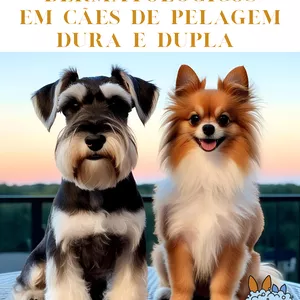 Imagem de capa para o Curso online Cuidados Dermatológicos em cães de pelagem dura e pelagem dupla 