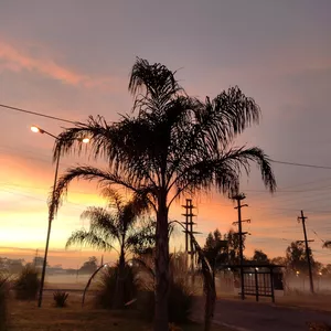 Imagen de portada para Curso online Fotos