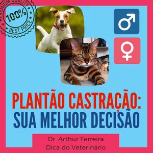 Imagem de capa para o Curso online Plantão Castração - Desvendando Mitos