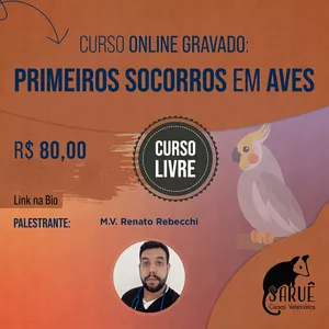 Imagem de capa para o Curso online Curso "Primeiros socorros em aves" por M.V. Renato Rebecchi Bastos