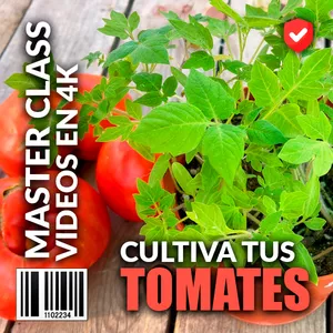 Imagen de portada para Curso online Cultivar tomates es fácil