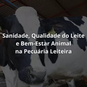 Imagem de capa para o Curso online Sanidade, Qualidade do Leite e Bem-Estar Animal na Pecuária Leiteira