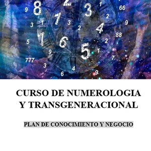 Imagen de portada para Ebook CURSO DE NUMEROLOGIA TRANSGENERACIONAL 1