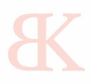 Burcu Kilic logo