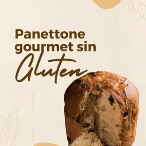 Imagen de portada para Ebook Panettone Gourmet Sin Gluten