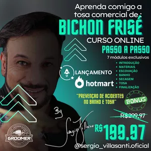 Tosando Bichon Frisé