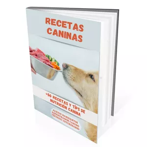 Imagen de portada para Ebook Recetas caseras para perros
