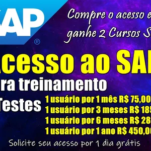 Imagem do curso Acesso ao SAP para treinamento e testes 
