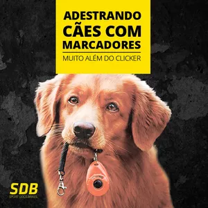Curso ADESTRANDO CÃES COM MARCADORES. MUITO ALÉM DO CLICKER. 