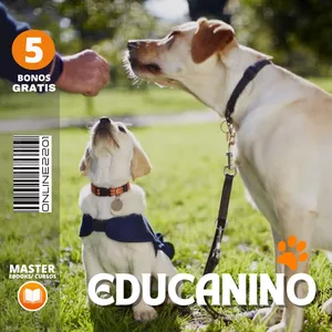 Imagen de portada para Ebook EDUKANINO,  EDUCACION  CANINA