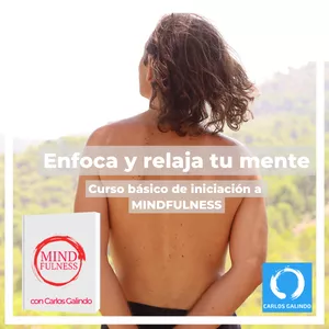 Imagen de portada para Curso online Enfoca y relaja tu mente con Mindfulness