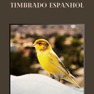 Imagem de capa para o Ebook O Canário Timbrado Espanhol