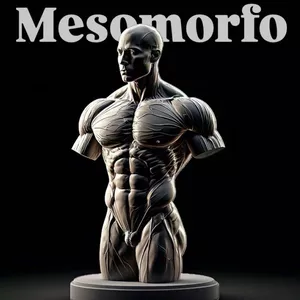 Imagem de capa para o Ebook Guia Do Mesomorfo | Guia Completo