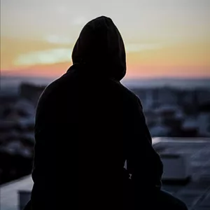 Imagem do curso Harmonic life 