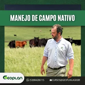 Imagem de capa para o Curso online MANEJO DE CAMPO NATIVO