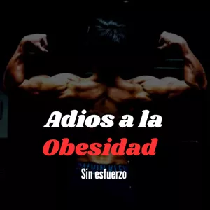Imagen de portada para Ebook Adios a la obesidad