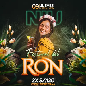 Imagem de capa para o Curso online DISEÑANDO FLYER DISCOTECAS