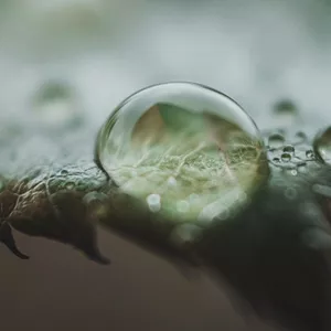Imagem do curso Cetamina na Saúde Mental: Aplicações e protocolos