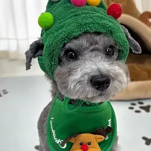 Imagen de portada para Curso online GORRO NAVIDEÑO PARA MASCOTAS