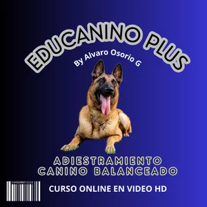 Imagen de portada para Curso online EDUCANINO PLUS