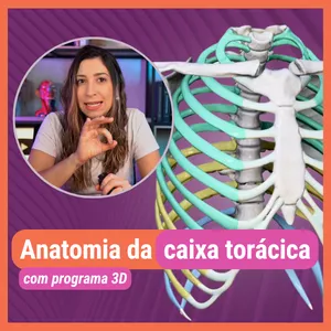 Imagem de capa para o Ebook Apostila ANATOMIA DA CAIXA TORÁCICA. Material de Apoio aulas Youtube.