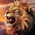 Foto do autor Eliezio  Lobo