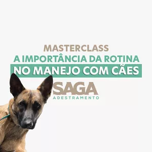 Imagem de capa para o Curso online Masterclass: A importância da Rotina no Manejo com Cães 