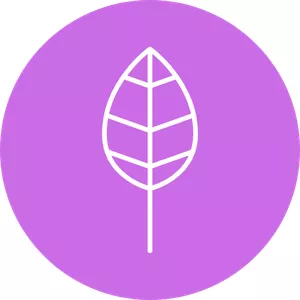 Cover image for Online course Percorso Yoga su Misura: YiI Yoga in Inverno