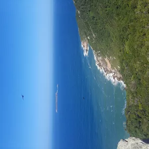 Imagem de capa para o Curso online Pega a visão 