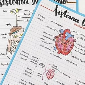 Imagem de capa para o Ebook RESUMOS MEDICINA