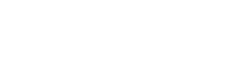 NPD Strategy Academy logo