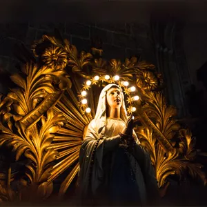 Imagen de portada para Curso online 33 DÍAS DE PREPARARACIÓN PARA LA CONSAGRACIÓN AL CORAZÓN INMACULADO DE LA SANTÍSIMA VIRGEN MARÍA
