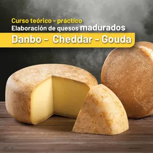 Imagen de portada para Curso online Curso de Quesos Madurados: Danbo, Gouda, Cheddar