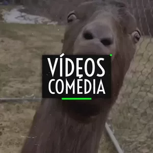 Imagem de capa para o Curso online Vídeos Comédia